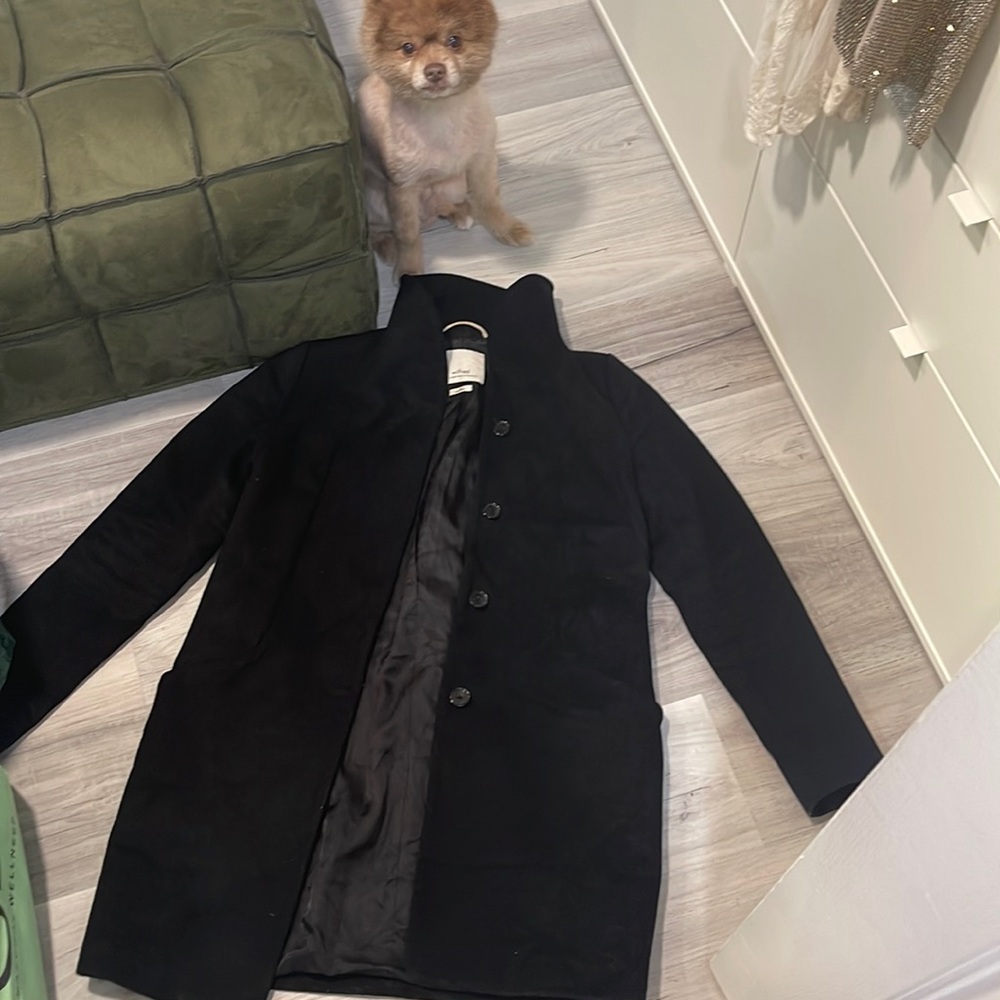 Wilfred Aritzia Coat with Virgin Wool and Cashmere